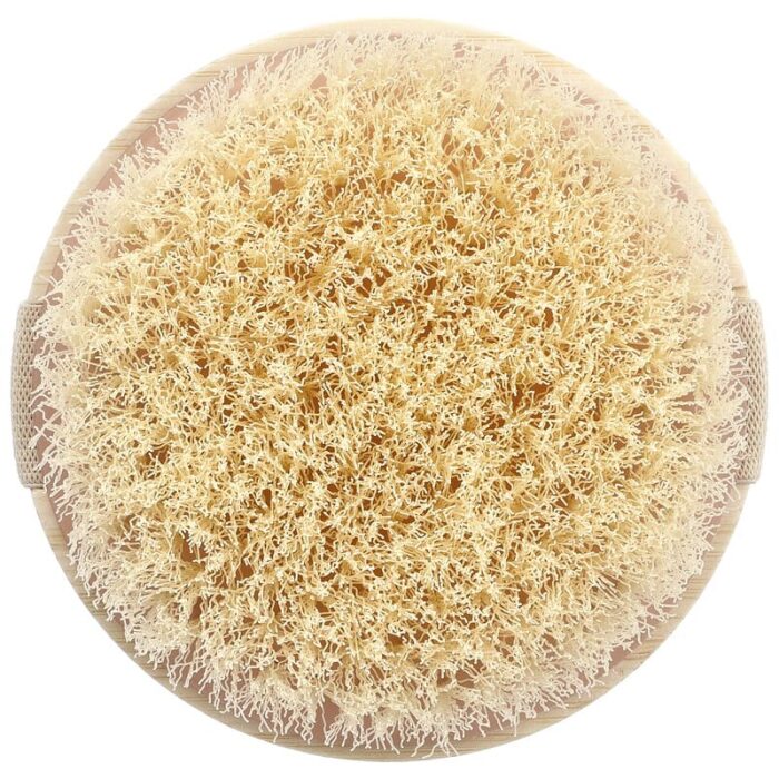 EcoTools Dry Body Brush - Image 2