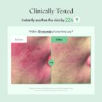 ⁦Purito SEOUL - Wonder Releaf Centella Serum Unscented⁩ - الصورة ⁦5⁩