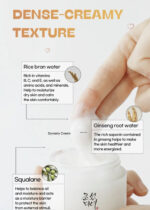 Beauty of Joseon - Skincare Essential Kit - Image 3