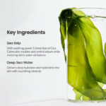 ⁦BIODANCE Refreshing Sea Kelp Real Deep Mask - 1pcs⁩ - الصورة ⁦4⁩