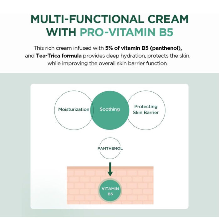 SKIN 1004 Madagascar Centella Tea-Trica B5 Cream - 75ml - Image 4