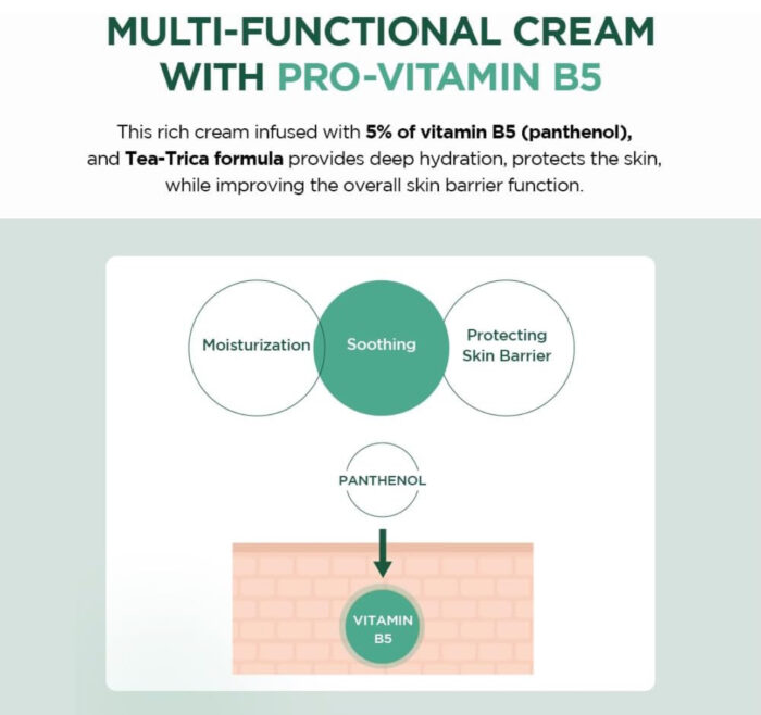 SKIN 1004 Madagascar Centella Tea-Trica B5 Cream - 75ml - Image 6