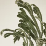 ⁦Abib - Collagen Eye Patch Jericho Rose Jelly 30 pair - 90 g⁩ - الصورة ⁦5⁩