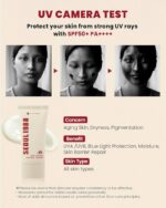 KSECRET SEOUL 1988 Sun: Pine Tree + Ceramide 50 ml - Image 4