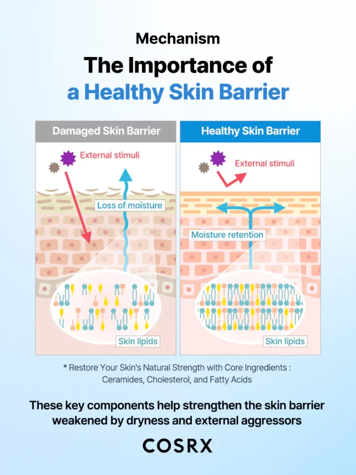 ⁦COSRX The Ceramide Skin Barrier Moisturizer 80 ML⁩ - الصورة ⁦10⁩