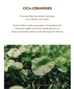 SKIN 1004 - Madagascar Centella Probio-Cica Bakuchiol Eye Cream Twin Pack Set - Image 7