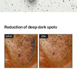 celimax Pore +Dark Spot Brightening Cream- 35ml - Image 5