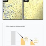 celimax Pore +Dark Spot Brightening Cream- 35ml - Image 9