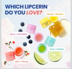 CNP LABORATORY Propolis Lipcerin Miniature Set - 1set (4.5ml x 4pcs) - Image 5