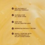 Gisou Honey Gloss Ceramide Cleanse Shampoo 250 ML + Conditioner 200 ML - Image 5