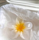 6pcs Flower Shaped Random Mixed Color Lightweight Plastic Hair Clips - Image 7