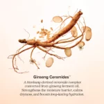 Beauty of Joseon - Revive Firming Moisturizer 60 ml - Image 6