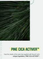 ROUND LAB - Pine Calming Cica Body Wash 400ML - Image 7