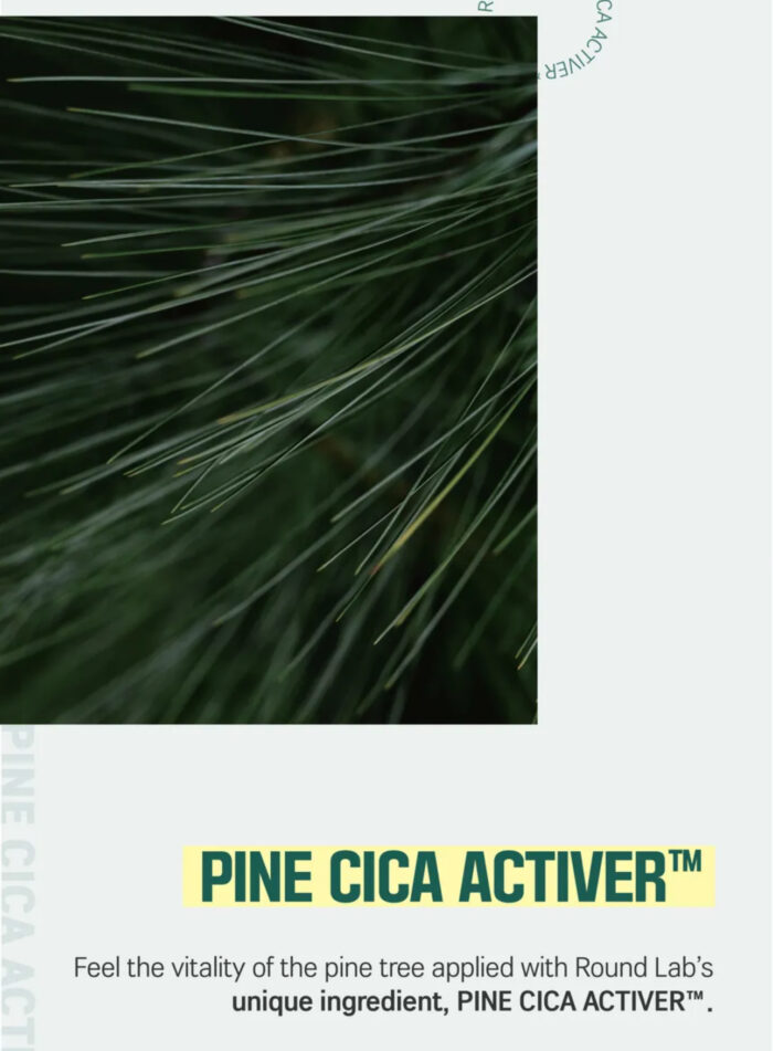 ROUND LAB - Pine Calming Cica Body Wash 400ML - Image 7