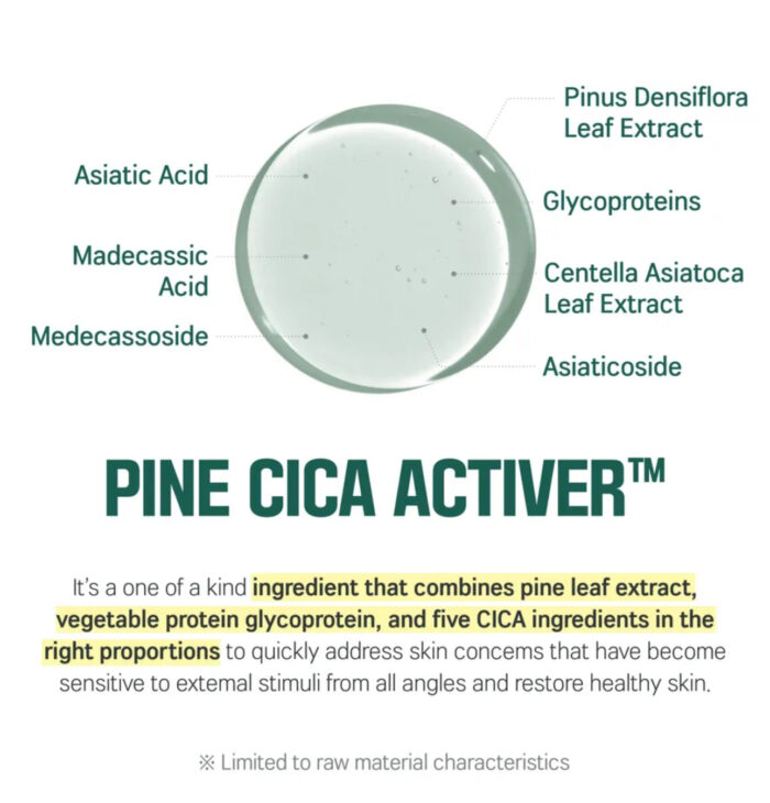 ROUND LAB - Pine Calming Cica Body Wash 400ML - Image 8